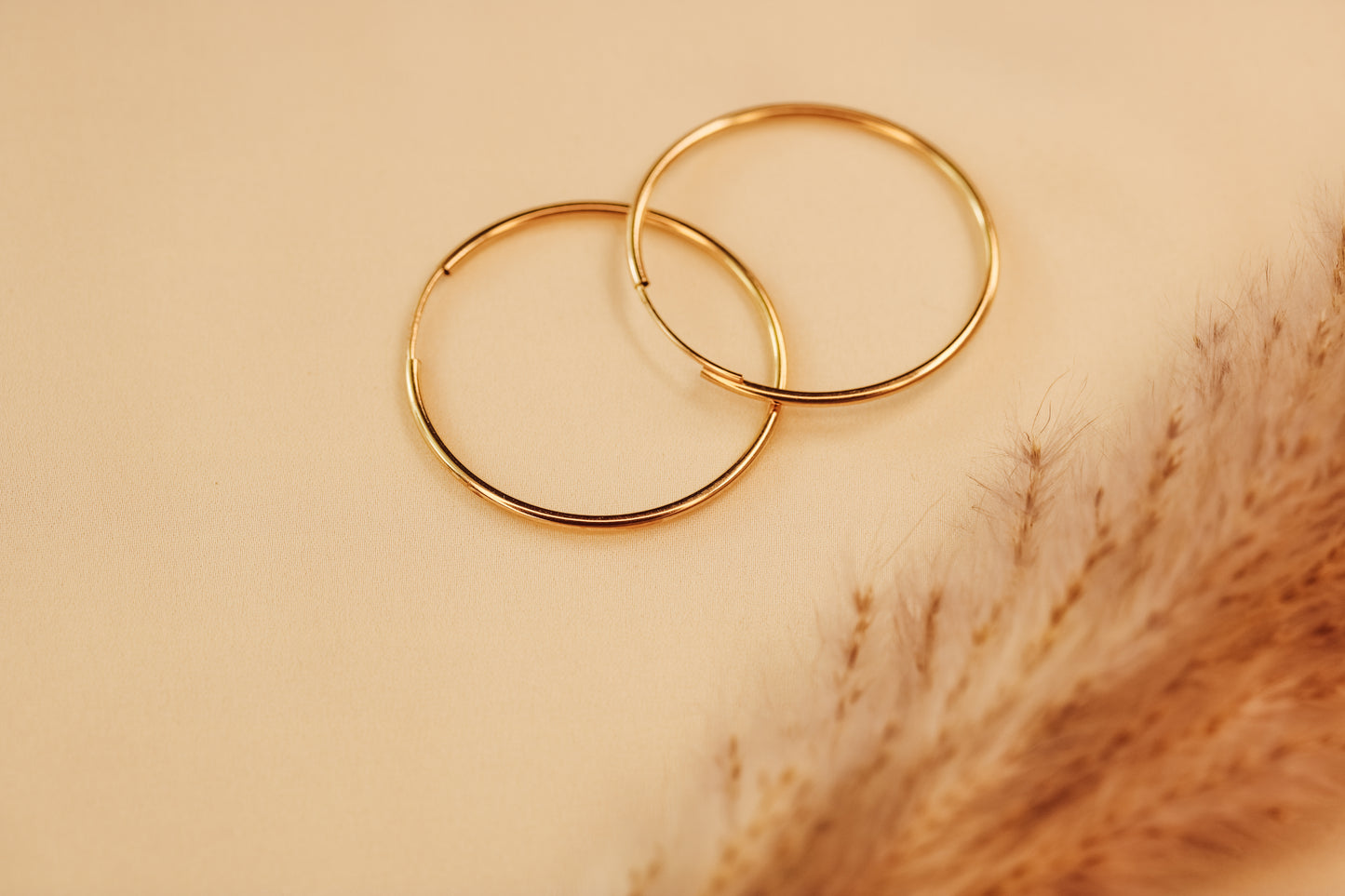 Endless Round Hoop Earrings 14K Gold Filled 24mm